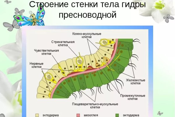 Зайти на кракен через браузер