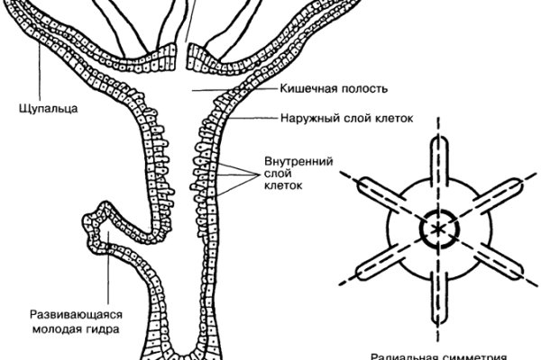 Вход кракен