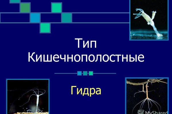 Кракен тор ссылка магазин